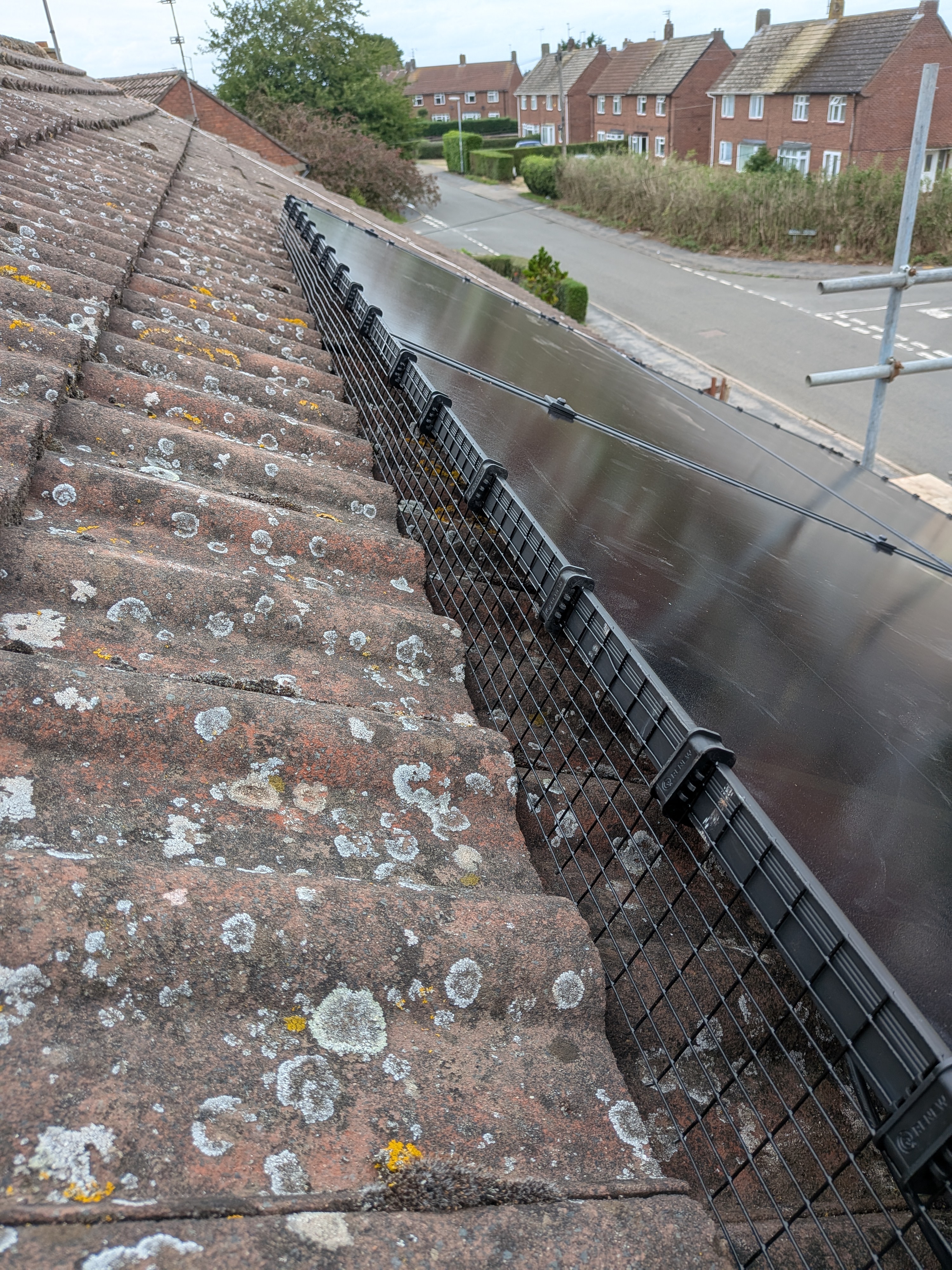 Bird protection along the array